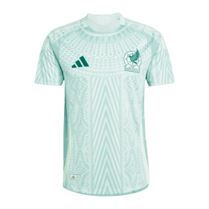 E.ÁLVAREZ #4 Authentic Soccer Jersey Mexico Away Shirt 2024