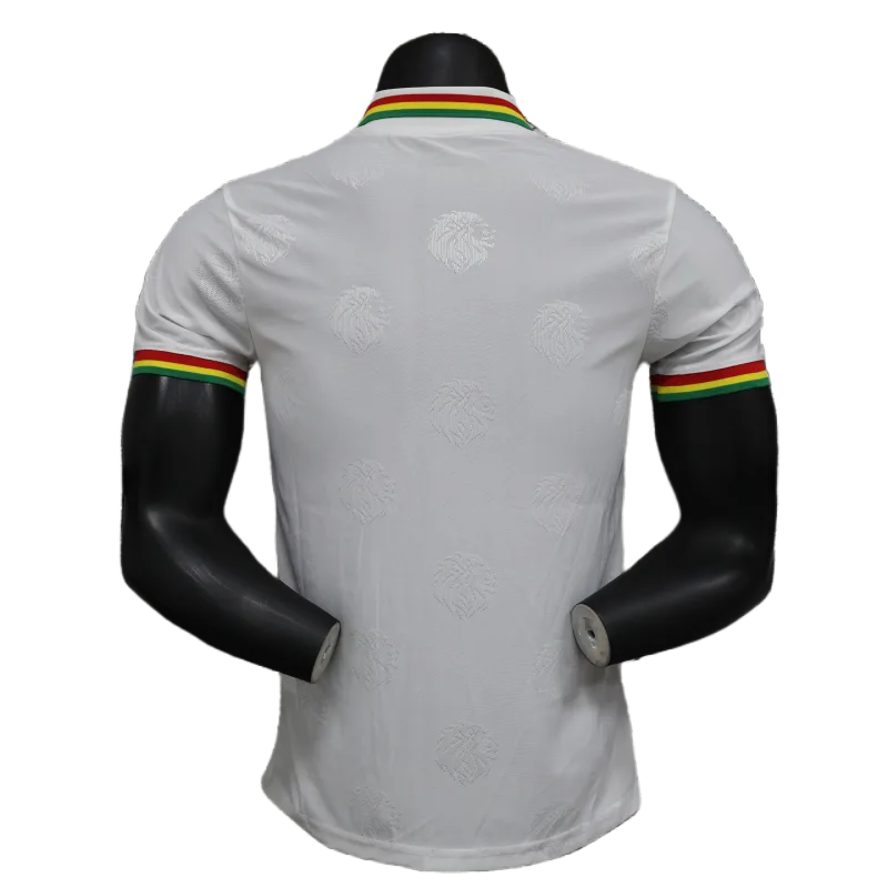 2024/2025 Senegal Special Edition Senegal Football Jersey for Players - Image 5