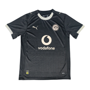 2025-26 Borussia Dortmund 100th Anniversary Rote Erde Special Edition Football jersey Fan Version