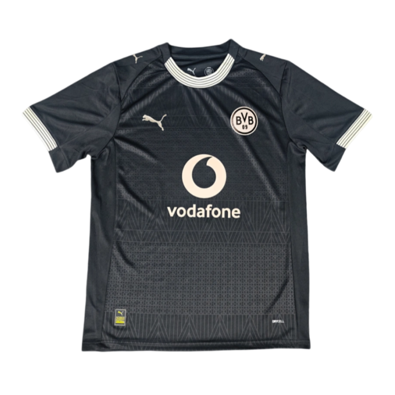 2025-26 Borussia Dortmund 100th Anniversary Rote Erde Special Edition Football jersey Fan Version