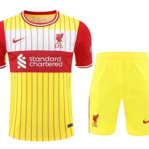 24-25 Liverpool Training Wear Yellow Suit Shirt