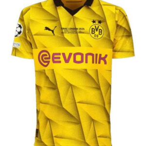 24-25 Dortmund player edition Champions League football jersey